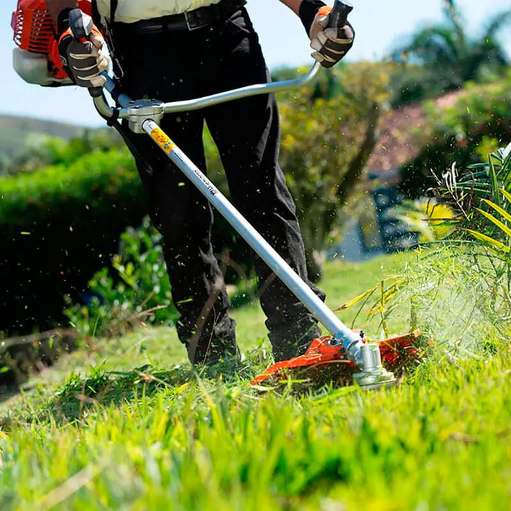 Manutenção de Jardim